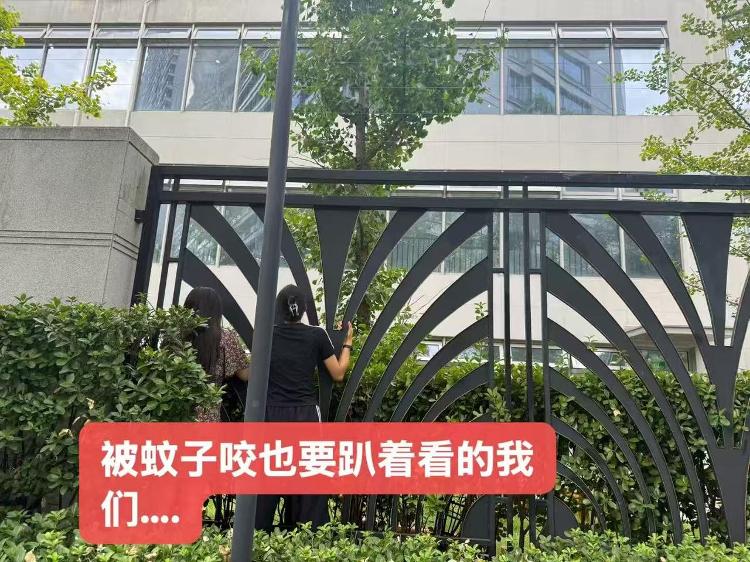 開學(xué)第一周，有爸爸比孩子哭得還兇！專家：面對分離焦慮，家長要學(xué)會放手