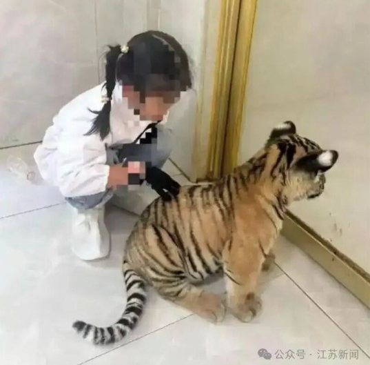 廣西7歲女童被小老虎咬傷右腿 景區(qū)最新通報(bào)