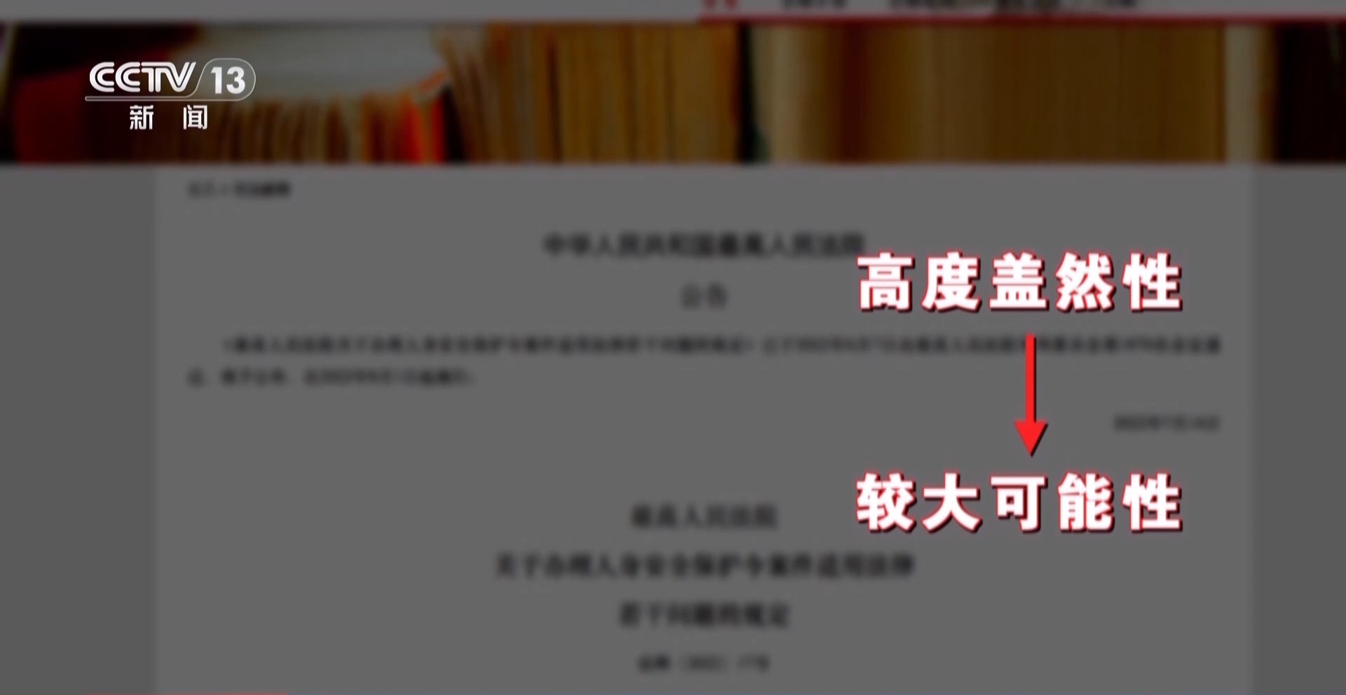 申請保護令當晚遭受最嚴重暴力 “兩年十六次家暴案”受害者發聲