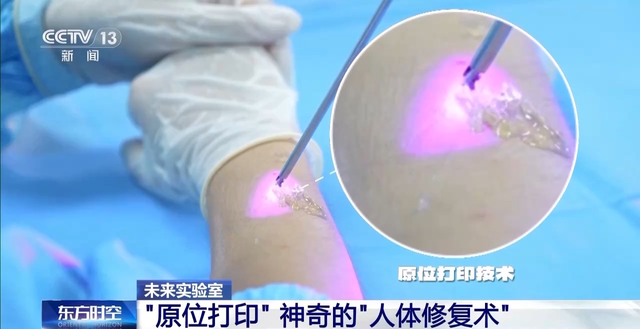 耳朵、骨骼、心臟……探秘神奇的