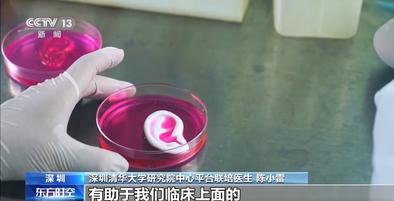 耳朵、骨骼、心臟……探秘神奇的