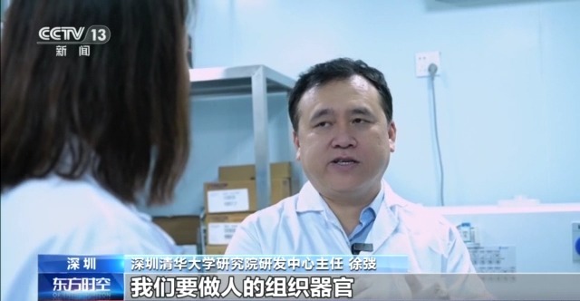 耳朵、骨骼、心臟……探秘神奇的