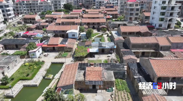 年接待游客超200萬人次 三個關(guān)鍵詞解鎖海島文旅密碼