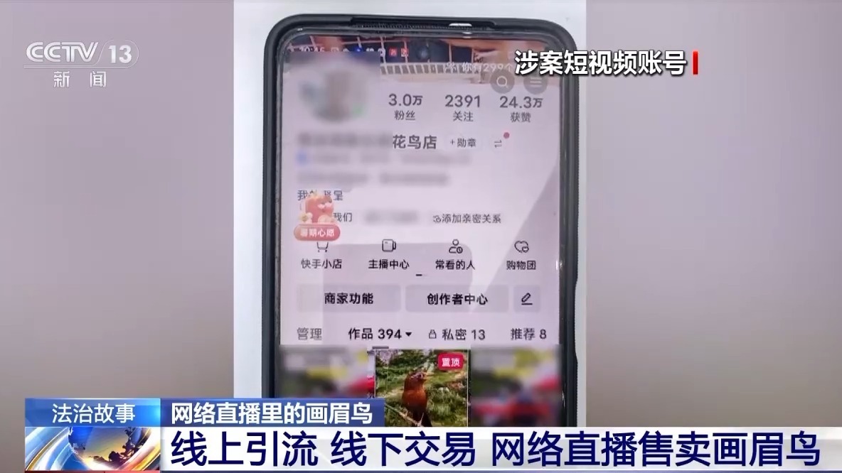 深夜直播竟暗藏非法交易 男子售賣畫眉鳥被刑拘