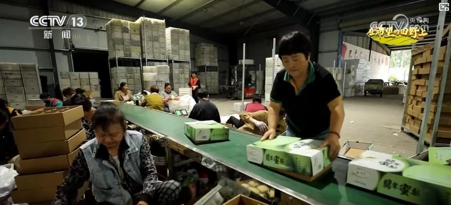 產銷兩旺！“小特產”變身變身鄉村振興“致富果” 激活“甜蜜經濟”新熱力