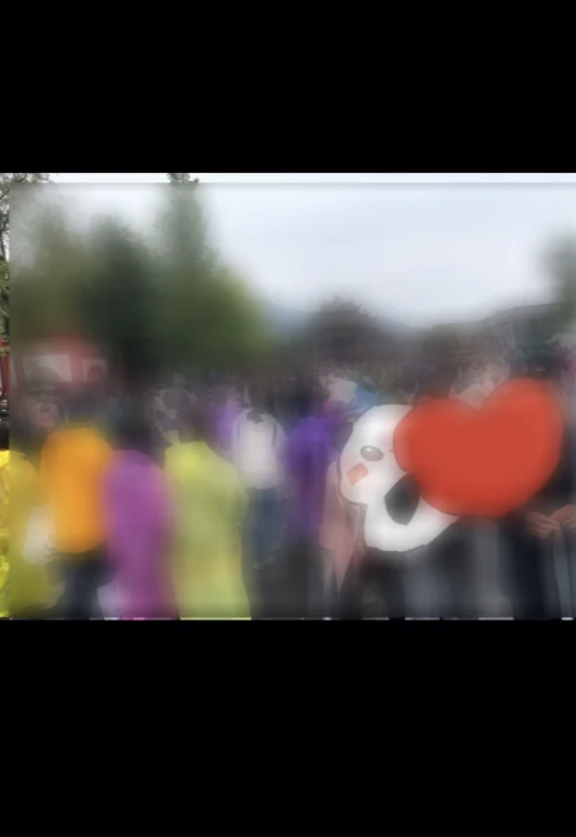 微信又上新功能