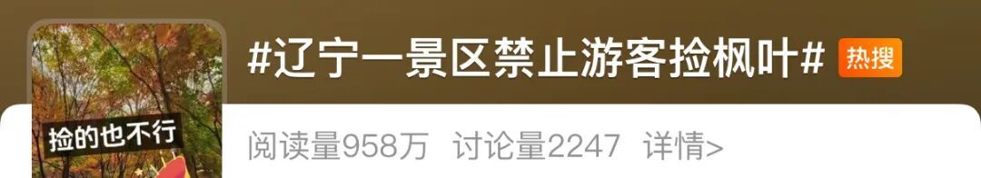 景區禁止游客撿楓葉，網友質疑“太小氣”，最新回應