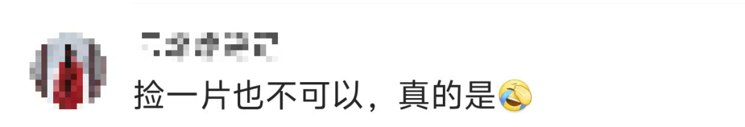 景區禁止游客撿楓葉，網友質疑“太小氣”，最新回應