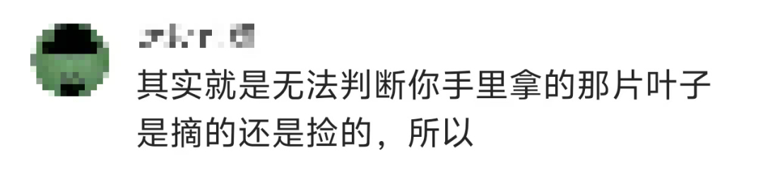 景區禁止游客撿楓葉，網友質疑“太小氣”，最新回應