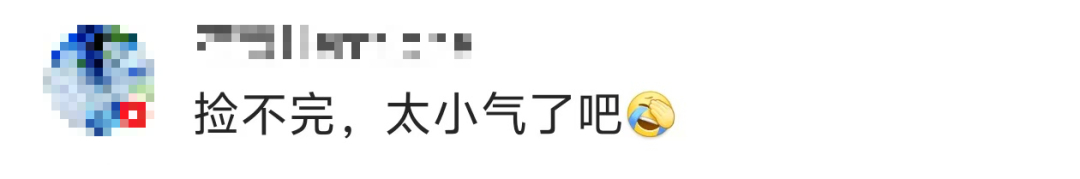 景區禁止游客撿楓葉，網友質疑“太小氣”，最新回應