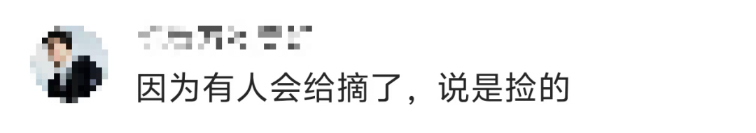 景區禁止游客撿楓葉，網友質疑“太小氣”，最新回應