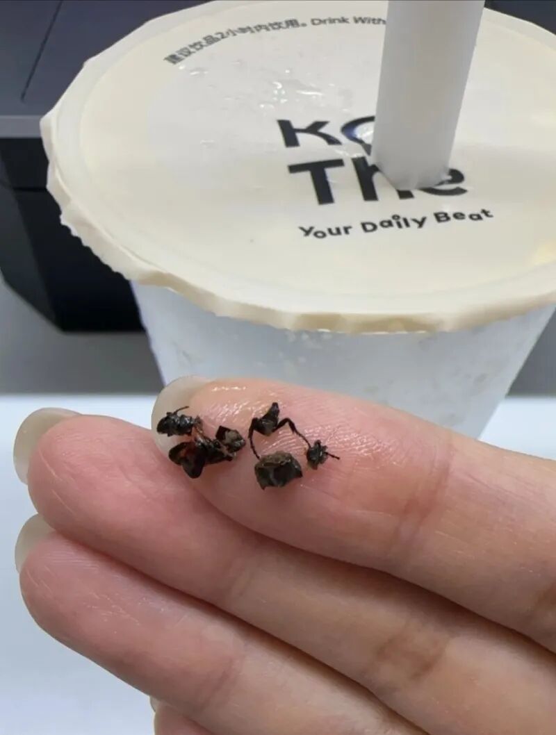 被投訴“奶茶喝出昆蟲尸體”，知名茶飲回應