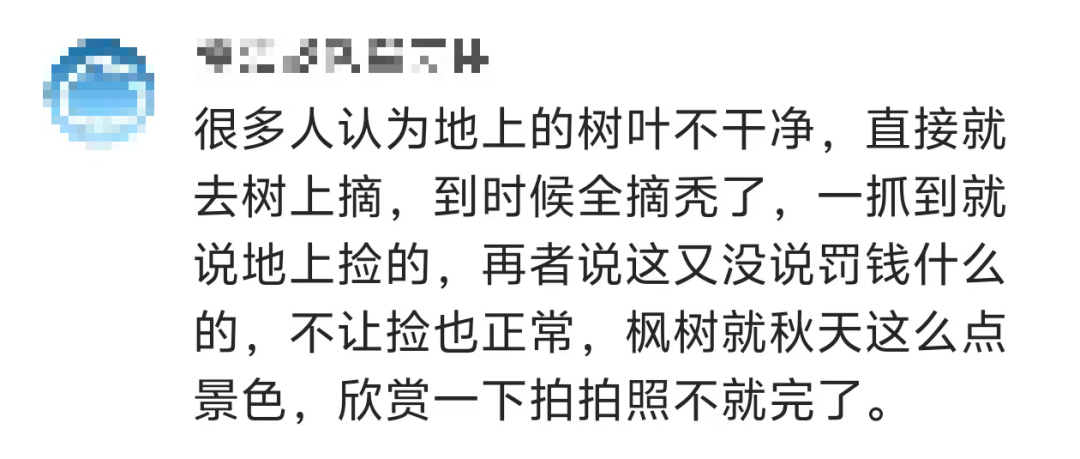 景區禁止游客撿楓葉，網友質疑“太小氣”，最新回應