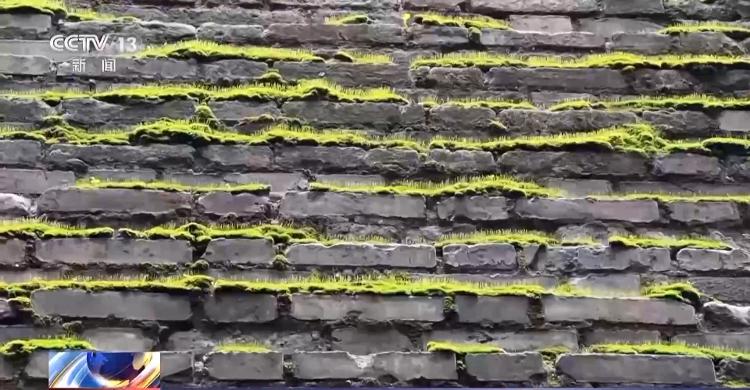 副熱帶高壓給西安城墻送來“限定皮膚” 專家解讀背后原因