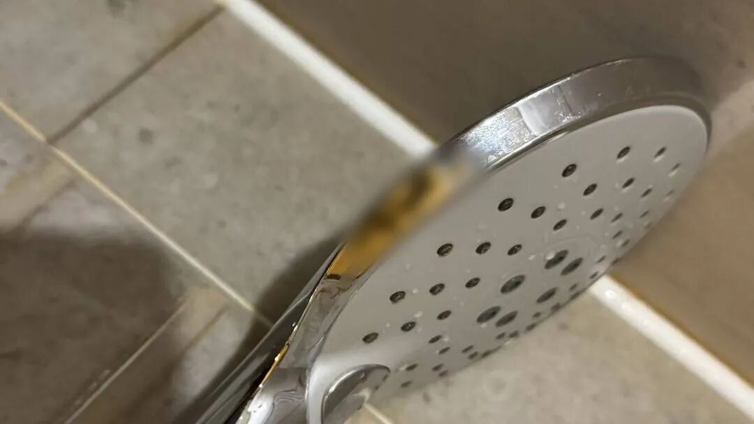 “洗完澡發(fā)現(xiàn)花灑有糞便”旅客拒賠：酒店說要開除保潔，并由保潔賠償2000元