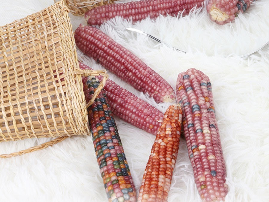 萬物皆可盤,玉米變“玉石”?小眾文玩日漸走俏,消費把玩有講究