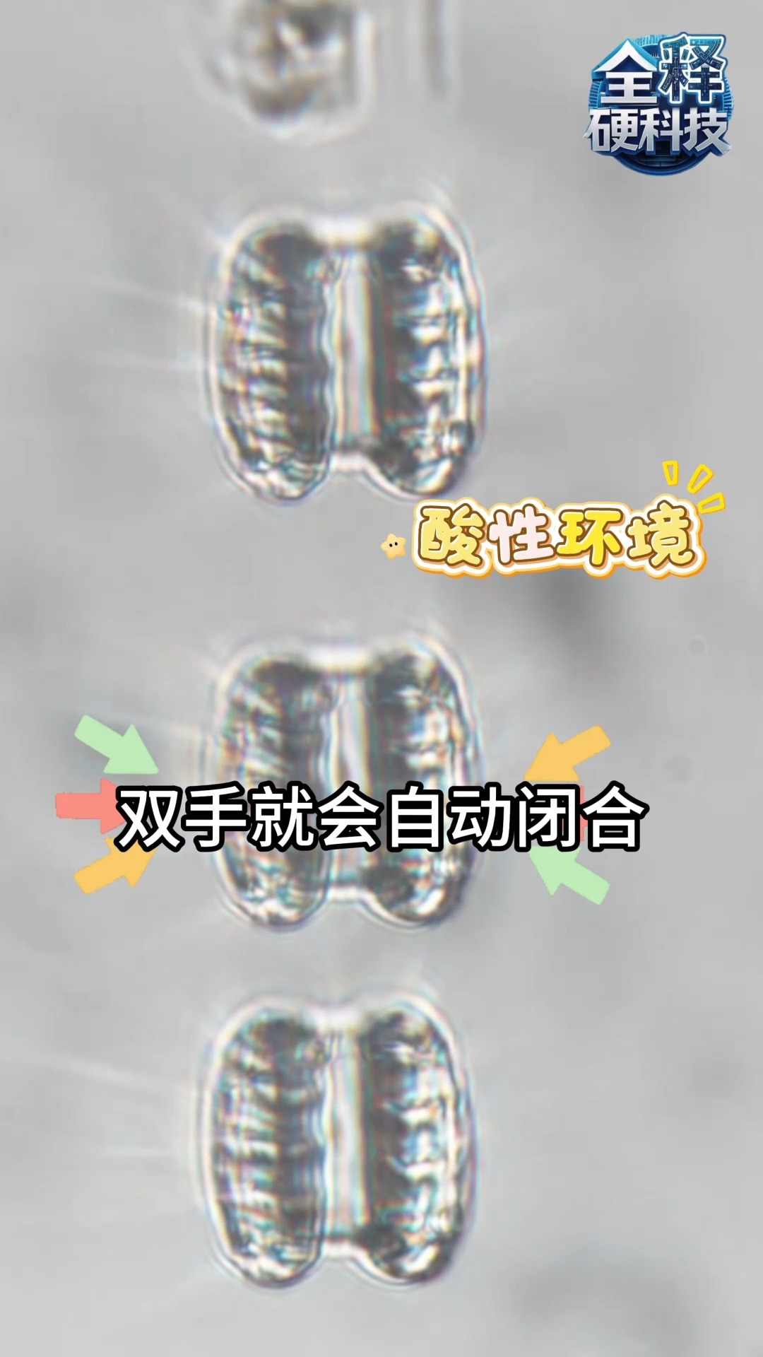 夢想照進現實！這款微納機器人讓“吞下納米醫生治病”成為可能