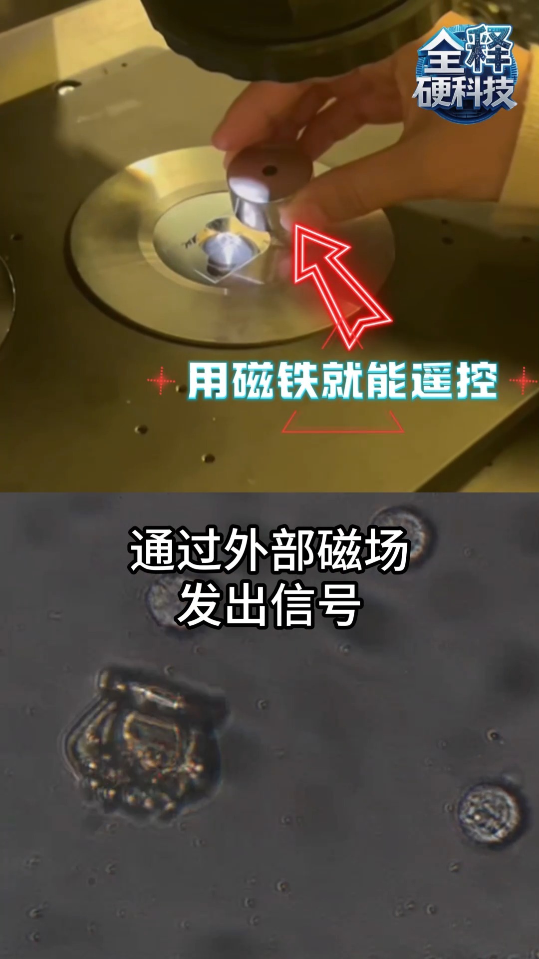 夢想照進現實！這款微納機器人讓“吞下納米醫生治病”成為可能