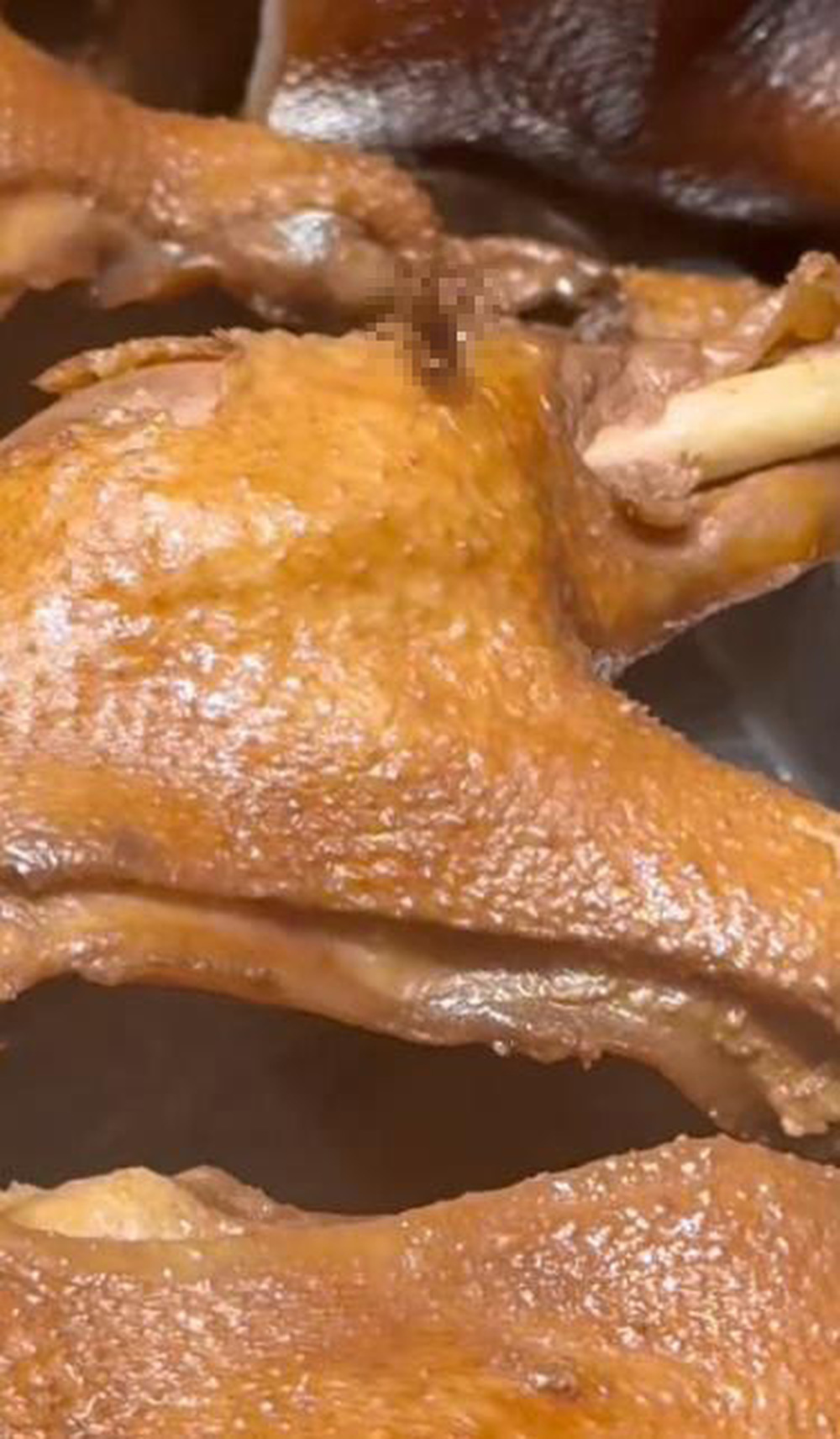 網(wǎng)友買鹵鵝發(fā)現(xiàn)蟑螂 通報(bào)：立案調(diào)查店鋪停業(yè)整改