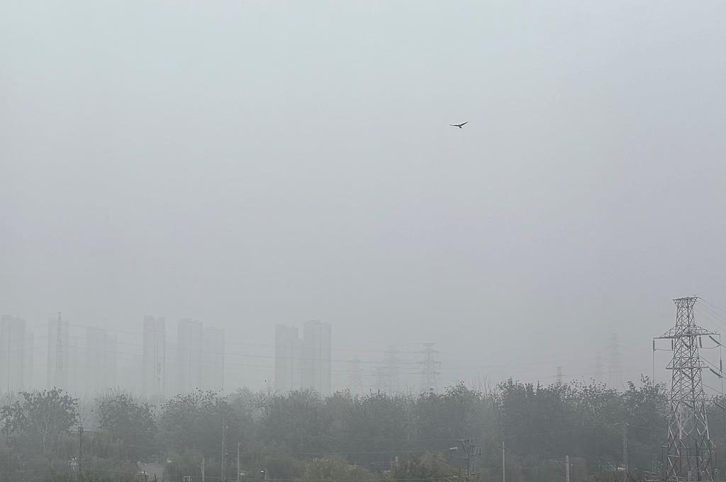 中央氣象臺(tái)繼續(xù)發(fā)布大霧黃色預(yù)警，遇到“團(tuán)霧”怎么辦？