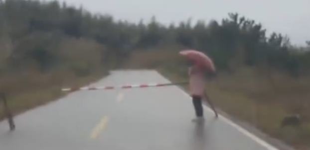 浙江一女子自駕遇攔路收費，當?shù)鼐剑荷媸麓迕袷杖〉氖亲约彝恋氐牧羲拶M，已要求其設(shè)立標識