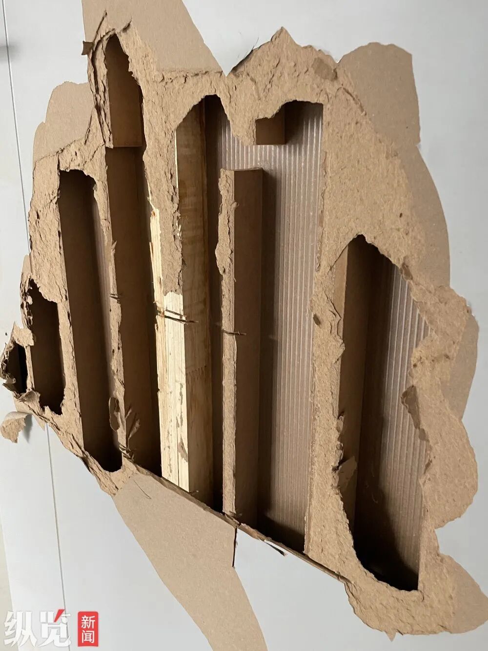 女子稱花45萬元裝修新房成“翻車現場”,邀請網友“打卡避坑”,已有50多人探訪