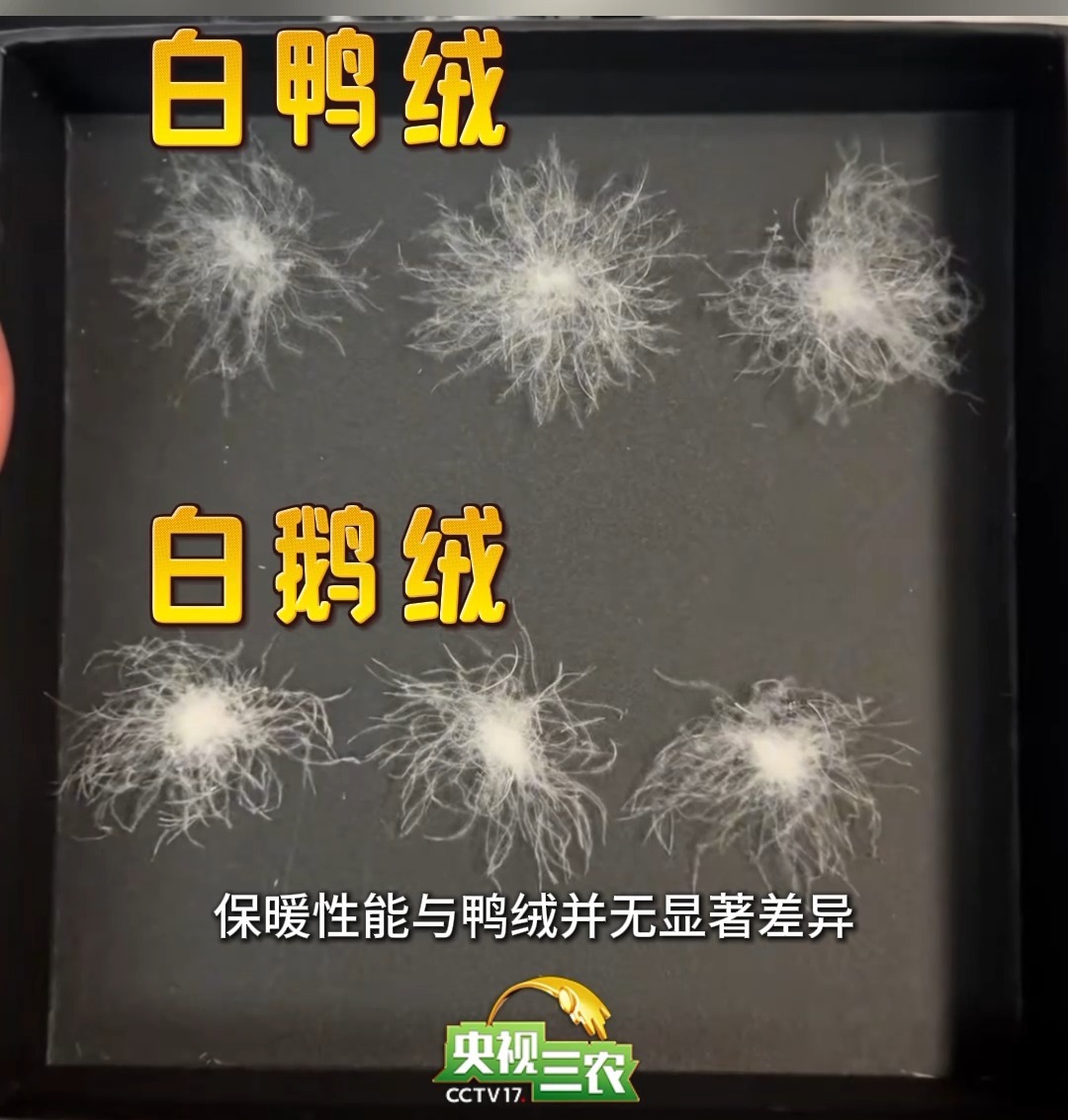 買羽絨服當心這些陷阱 一不留神就會買到“教訓”