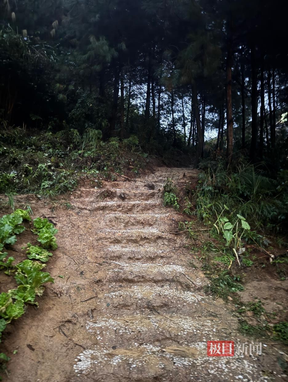 “史上最寒酸”凱里動物園的土路正在硬化鋪磚，70歲園長此前擔心游客摔倒，志愿者：為周末迎客正加班加點修