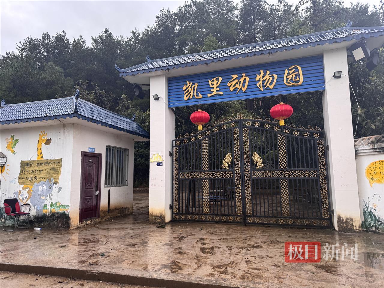 “史上最寒酸”凱里動物園的土路正在硬化鋪磚，70歲園長此前擔心游客摔倒，志愿者：為周末迎客正加班加點修