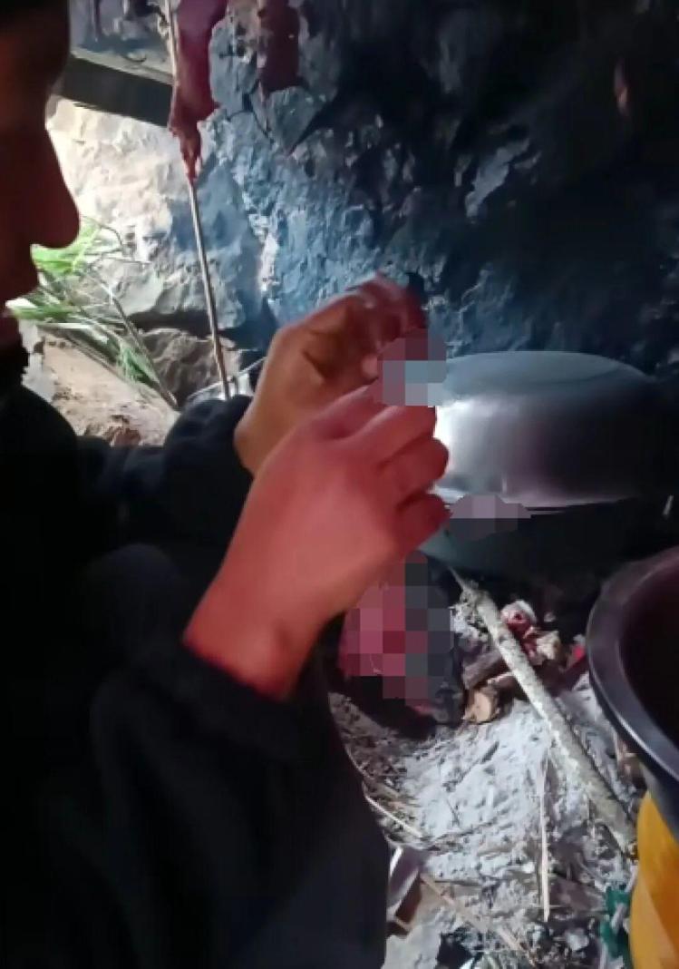 35天減28斤！25歲女孩獲海島求生賽季軍：為生存吃老鼠、蜈蚣