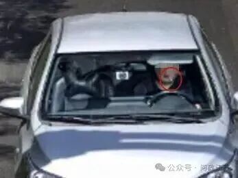 男子開車時嘴里叼牙線棒被處罰，當地最新回應