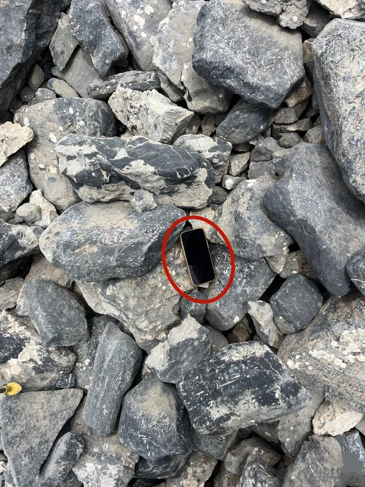 緣分!女子新疆丟手機 3年后被人跨越5000公里送還