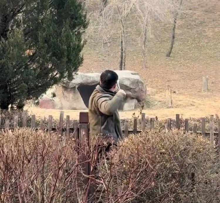 沈陽(yáng)一男子動(dòng)物園內(nèi)用彈弓射老虎，目擊者稱其“填裝了彈丸”，打完后老虎爬起來了，園方：正在核實(shí)情況