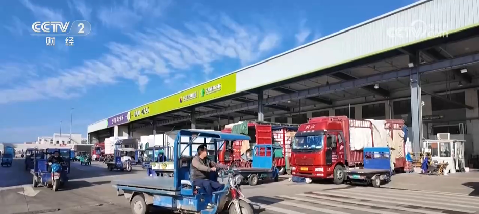 時令蔬菜大量上市豐富“菜籃子” 冬日餐桌“鮮”氣十足