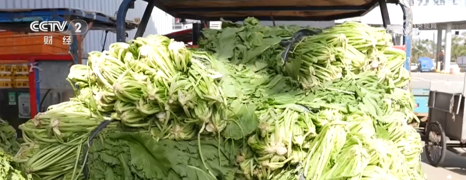 時令蔬菜大量上市豐富“菜籃子” 冬日餐桌“鮮”氣十足