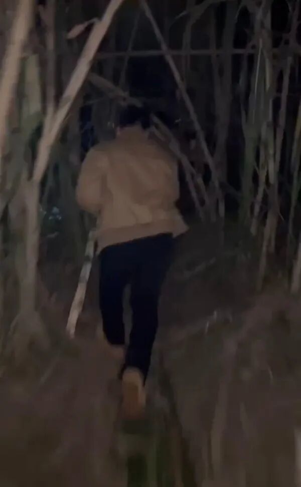 四川眉山“偷甘蔗”現(xiàn)場(chǎng)：民警到場(chǎng)維持秩序，老板稱以前想當(dāng)網(wǎng)紅，現(xiàn)在累得笑不出來