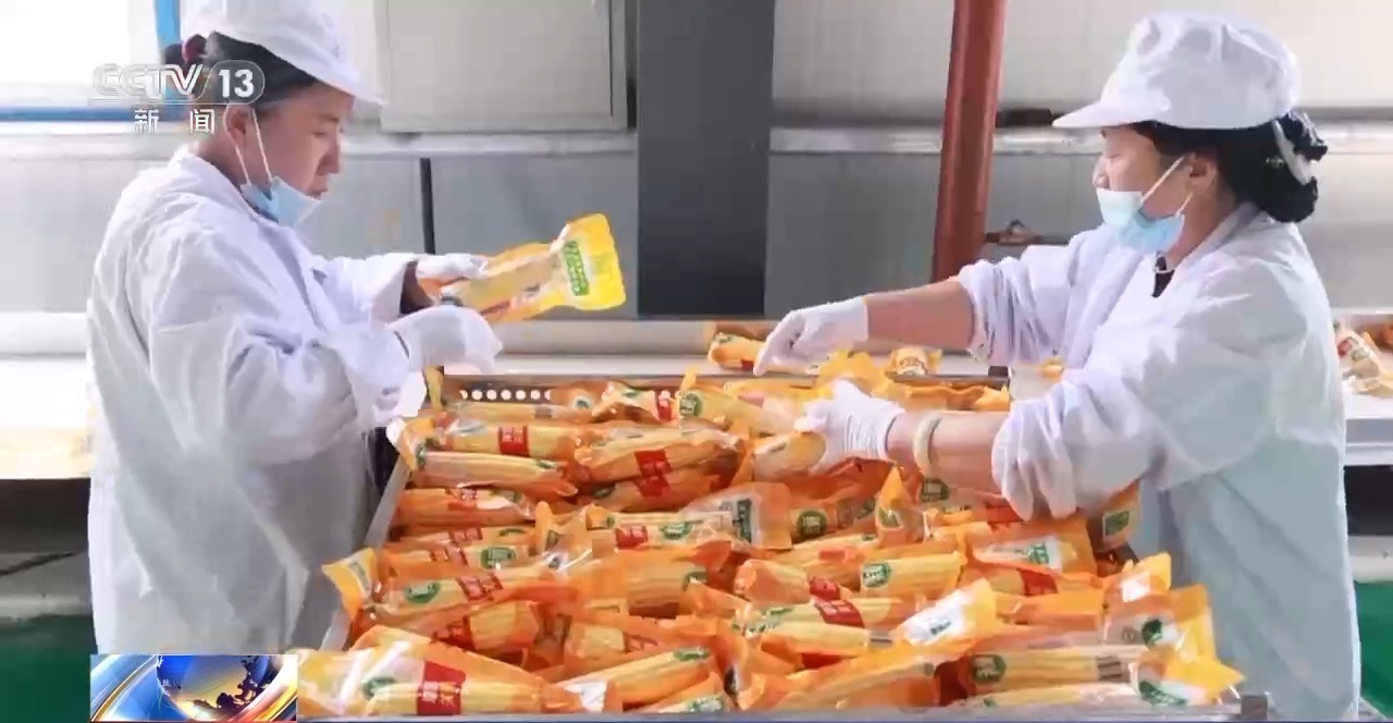 包裝玉米是“僵尸玉米”？專家解讀