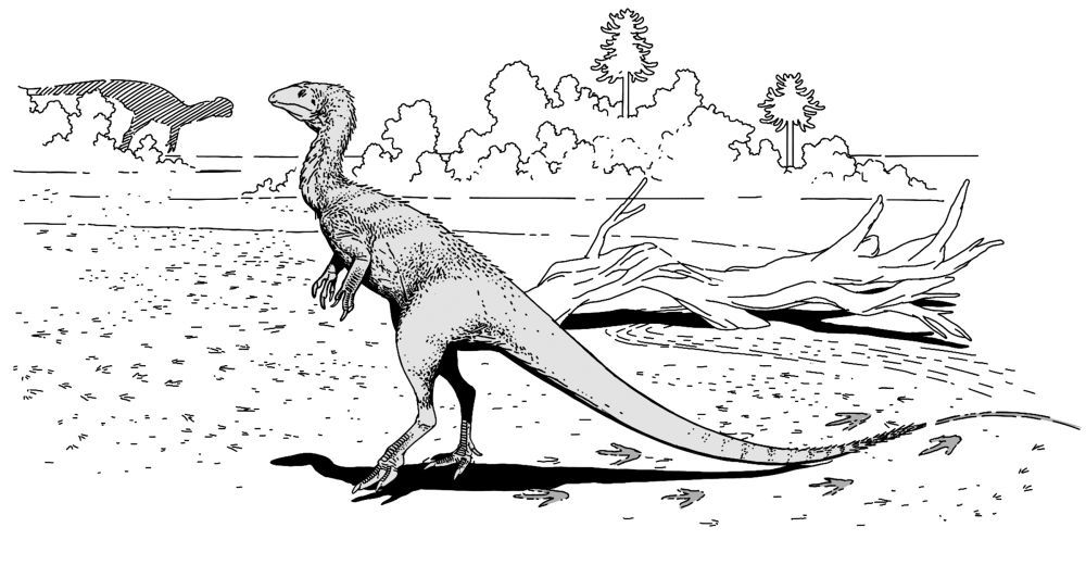 我國科學家揭示早侏羅世獸腳類恐龍行為奧秘